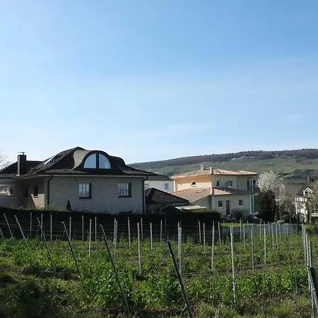 5 Sterne - Am Rheinberg - *