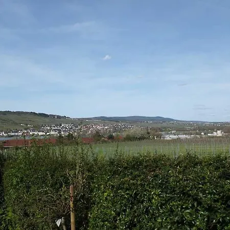5 Sterne - Am Rheinberg - * Bingen am Rhein