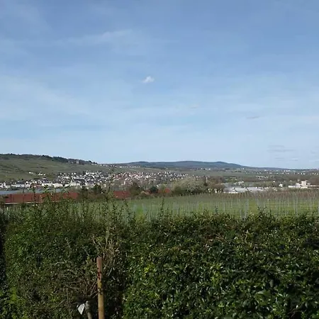 5 Sterne - Am Rheinberg - * Bingen am Rhein
