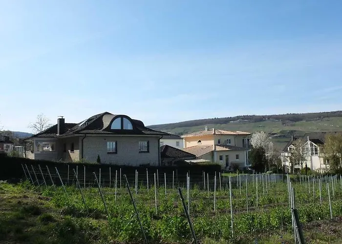 5 Sterne - Am Rheinberg - *